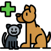 veterinario